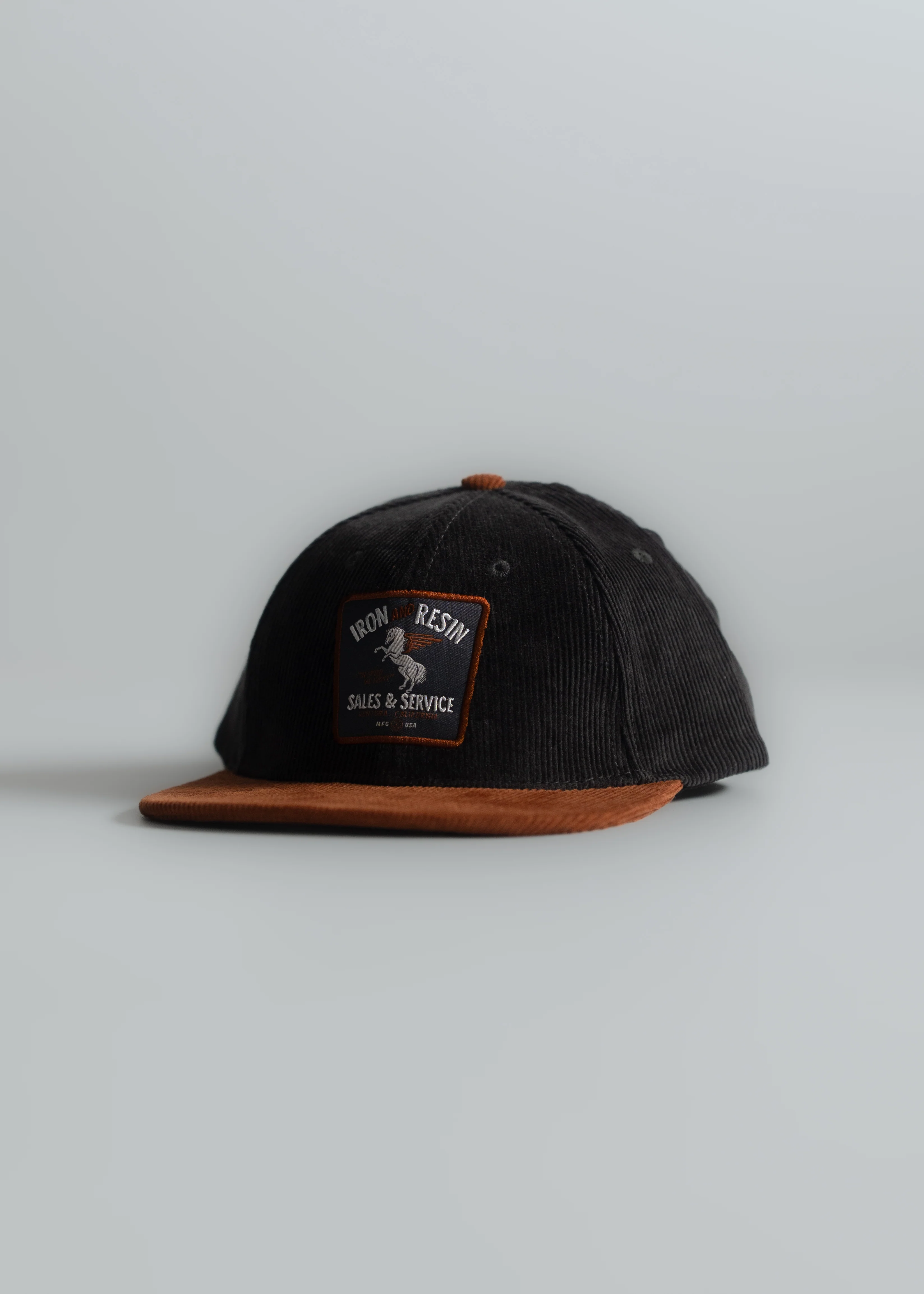 Pegasus hat